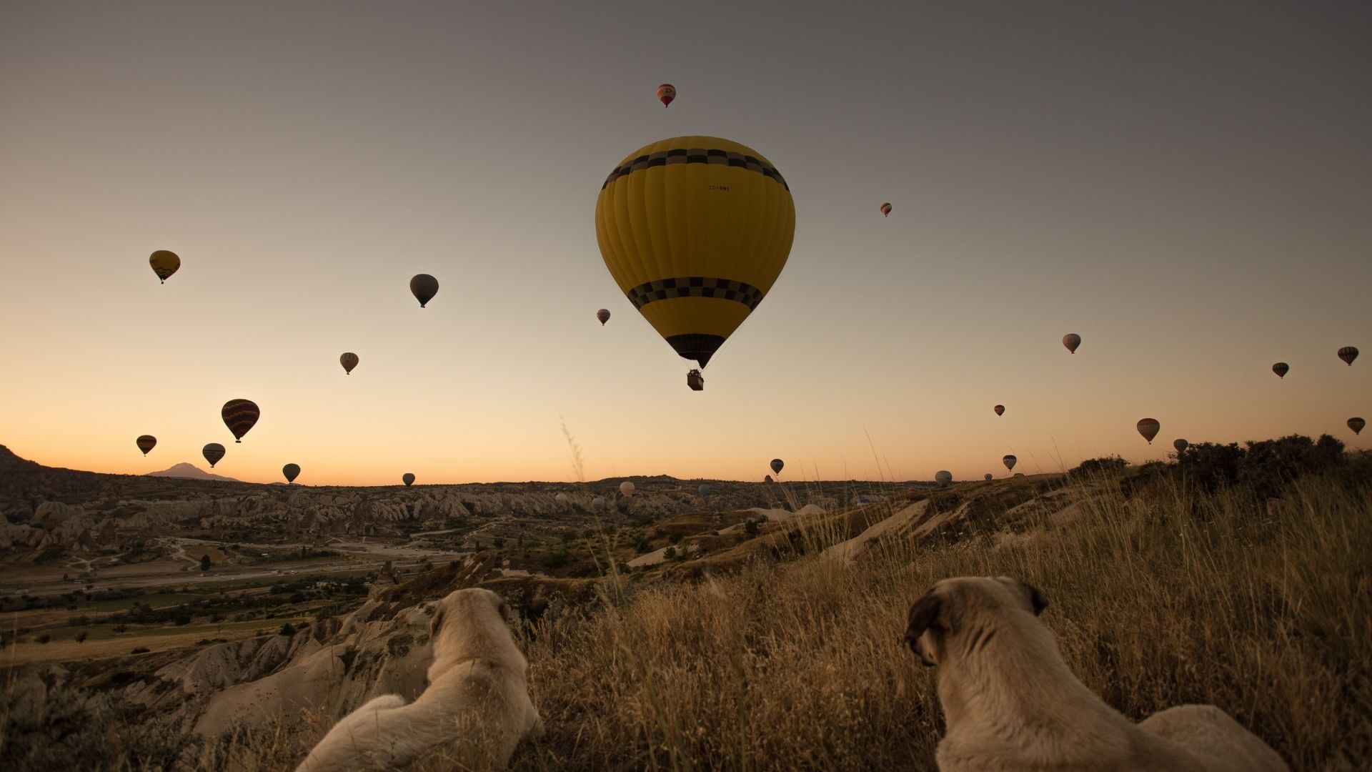 Şehirlerarası Transfer Hizmetleri